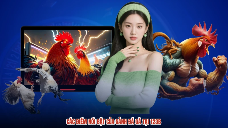 Các điểm nổi bật của sảnh đá gà tại 123B