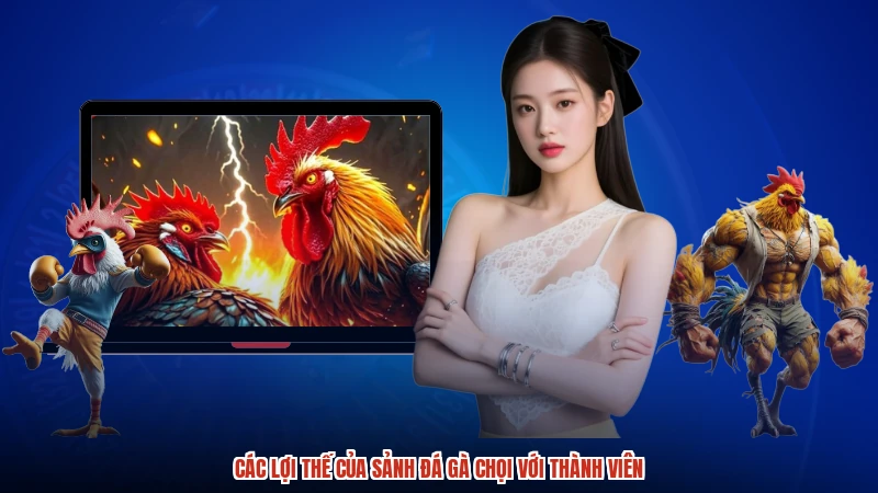 Các lợi thế của sảnh đá gà chọi với thành viên