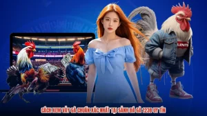 Cách Xem Vảy Gà Chuẩn Xác Nhất Tại Sảnh Đá Gà 123B Uy Tín