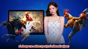 Đá Gà Chọi 123B: Những Loại Cược Dễ Thắng Nhất Hiện Nay