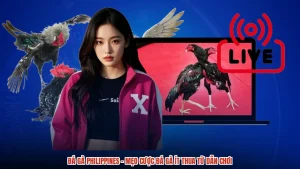 Đá Gà Philippines - Mẹo Cược Đá Gà Ít Thua Từ Dân Chơi