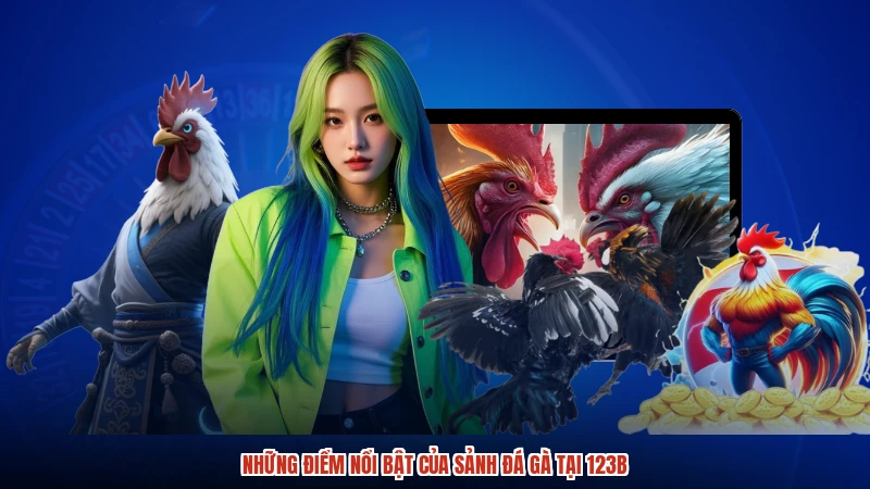 Những điểm nổi bật của sảnh đá gà tại 123B