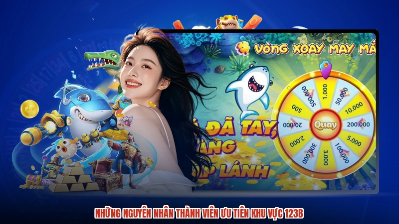 Những nguyên nhân thành viên ưu tiên khu vực 123B