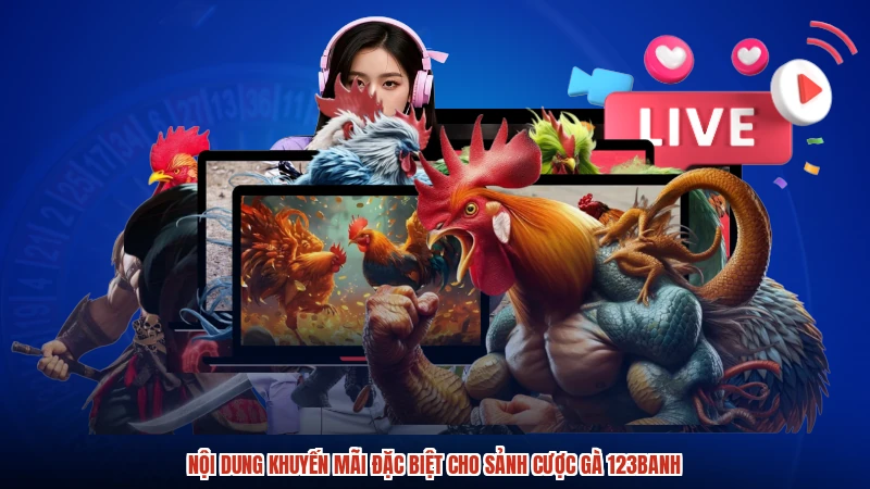 Nội dung khuyến mãi đặc biệt cho sảnh cược gà 123Banh