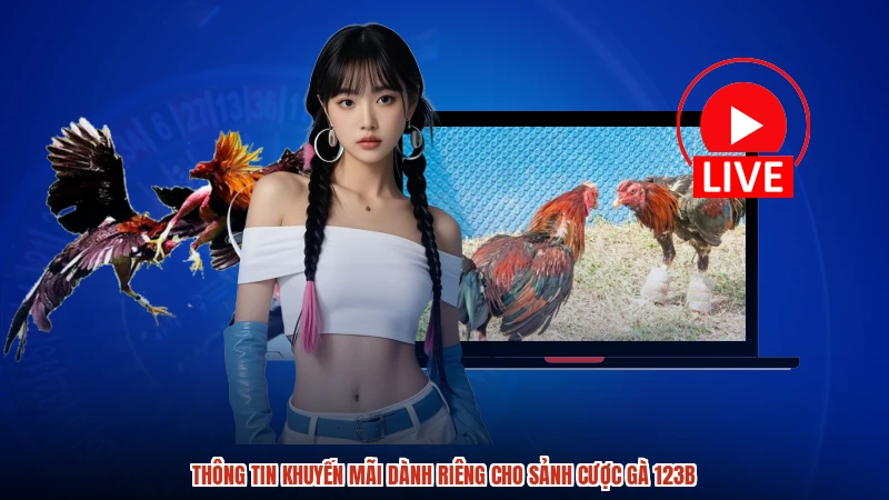 Thông tin khuyến mãi dành riêng cho sảnh cược gà 123B