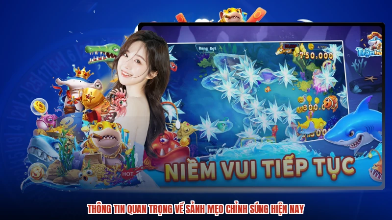 Thông tin quan trọng về sảnh mẹo chỉnh súng hiện nay