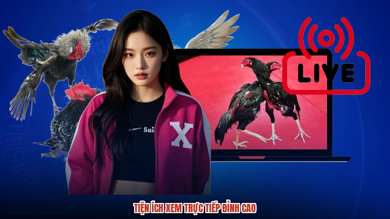 Tiện ích xem trực tiếp đỉnh cao
